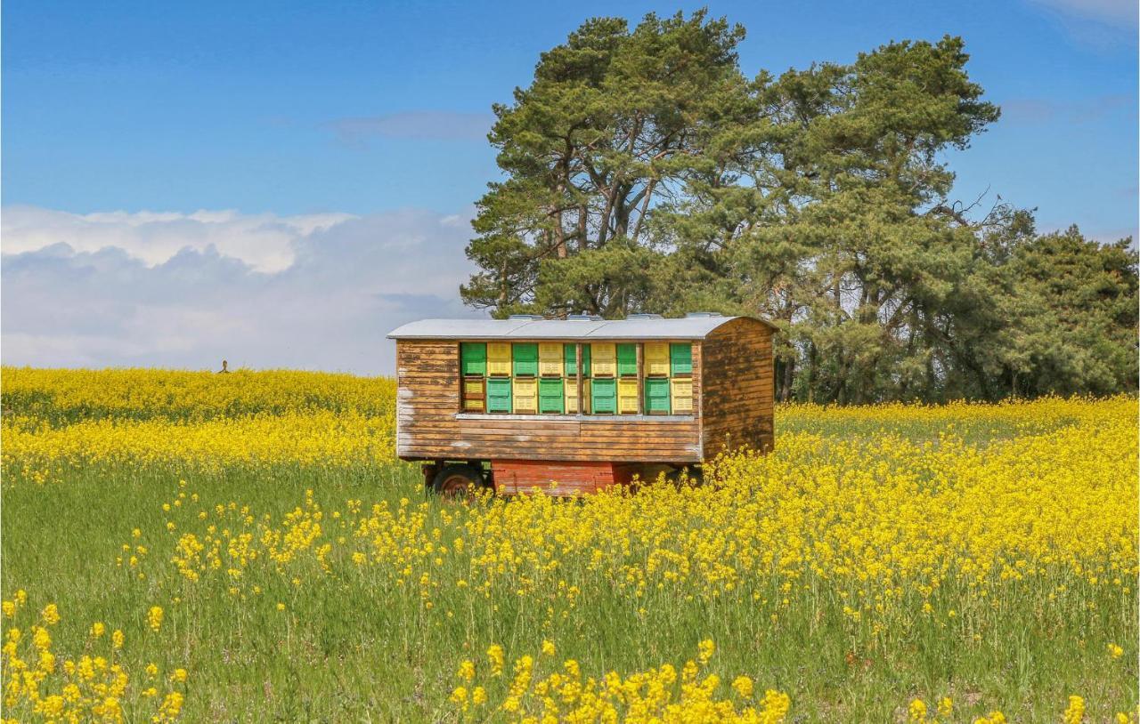 Вилла Reetdachhaus 26 Auf Usedom Kutzow Экстерьер фото
